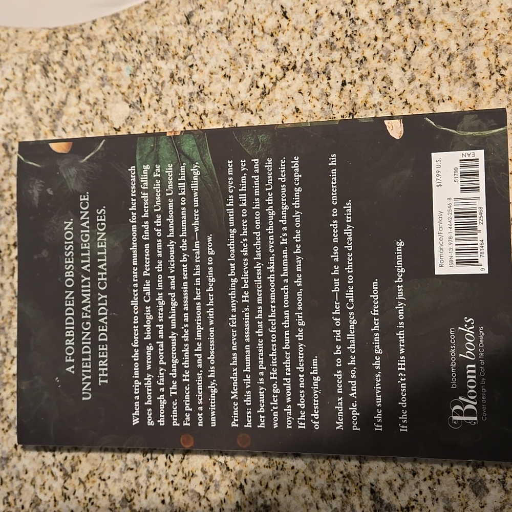 How Does it Feel Paperback - Infatuated Fae #1 - Picture 2 of 6